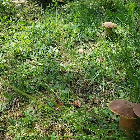 Skaly Spaly Bed & Breakfast