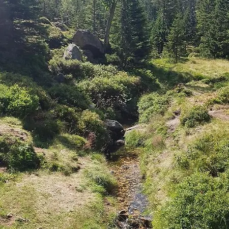 Skaly Spaly Bed & Breakfast 3*