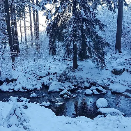 Skaly Spaly Bed and breakfast 3*