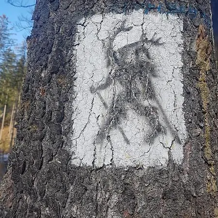 Skaly Spaly Przesieka