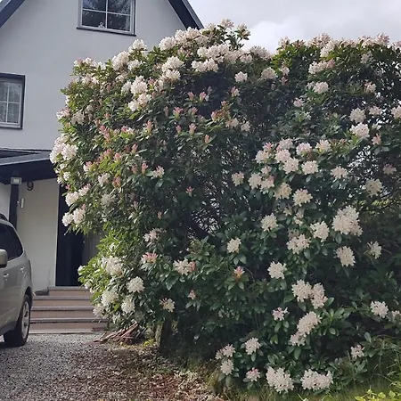 Bed and breakfast Skaly Spaly Przesieka