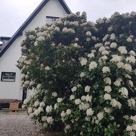 Skaly Spaly Bed and breakfast Przesieka