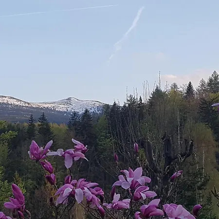 Skaly Spaly Bed & Breakfast