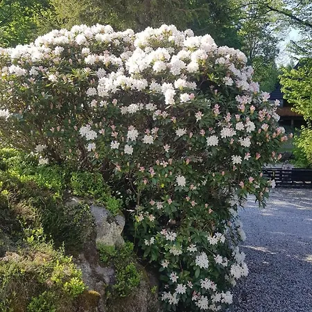 Skaly Spaly Przesieka