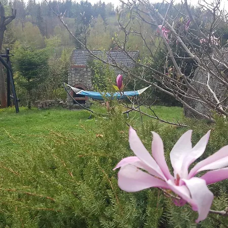 Bed and breakfast Skaly Spaly Przesieka