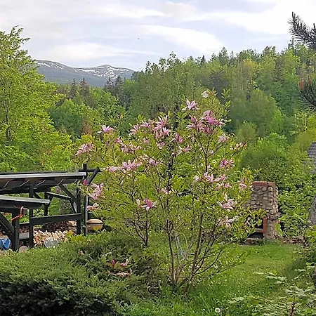 Skaly Spaly 3* Przesieka