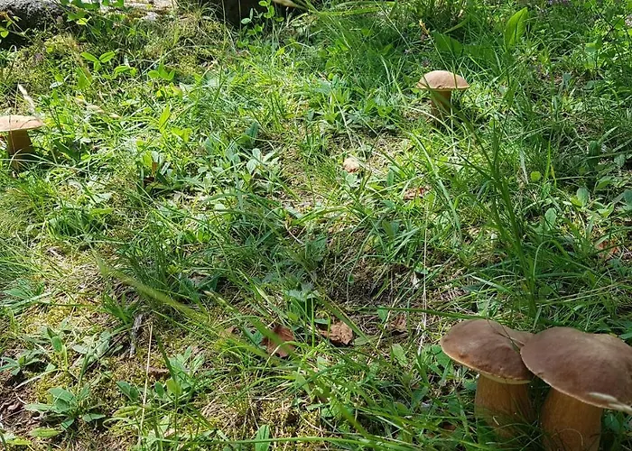 Skaly Spaly Bed & Breakfast