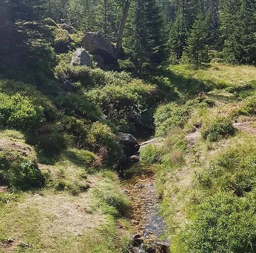 Skaly Spaly Bed & Breakfast 3*