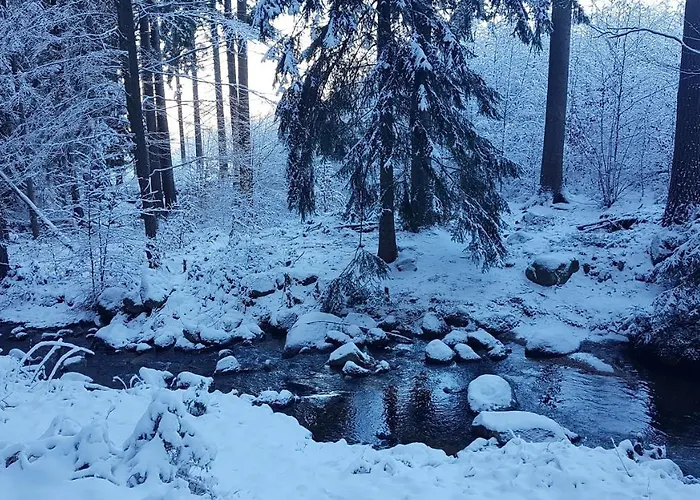 Skaly Spaly 住宿加早餐酒店 3*