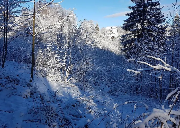 Skaly Spaly 普热谢卡