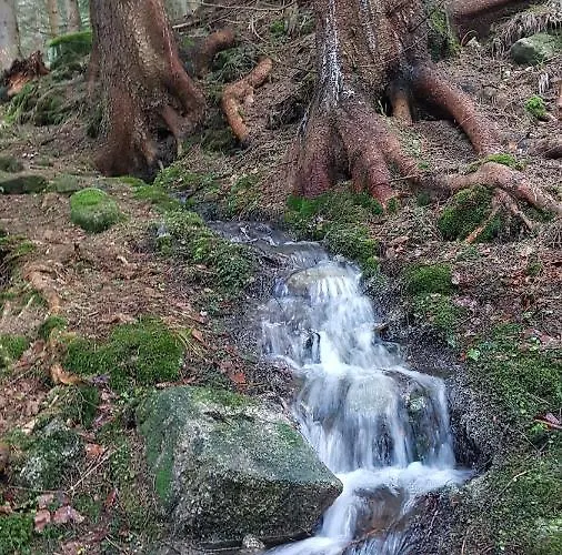 Skaly Spaly 住宿加早餐酒店 3*