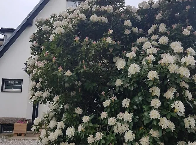 Skaly Spaly Bed & Breakfast Przesieka