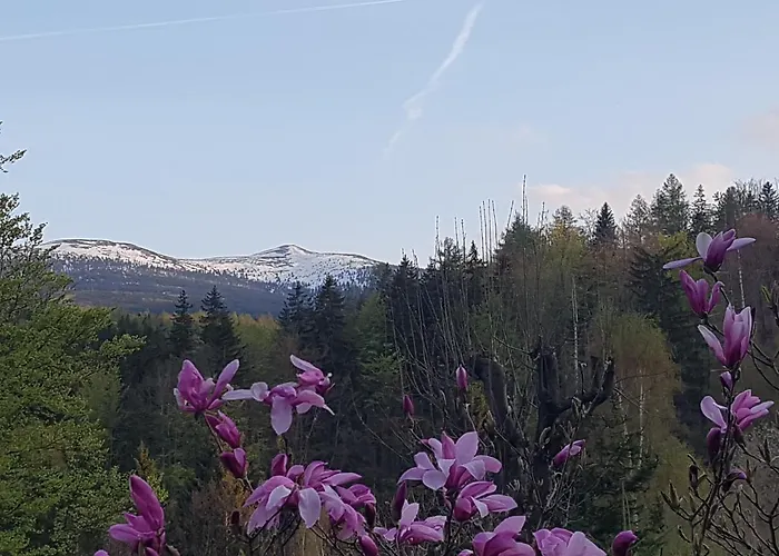 Skaly Spaly Bed & Breakfast