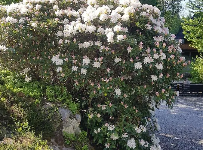 Skaly Spaly Przesieka