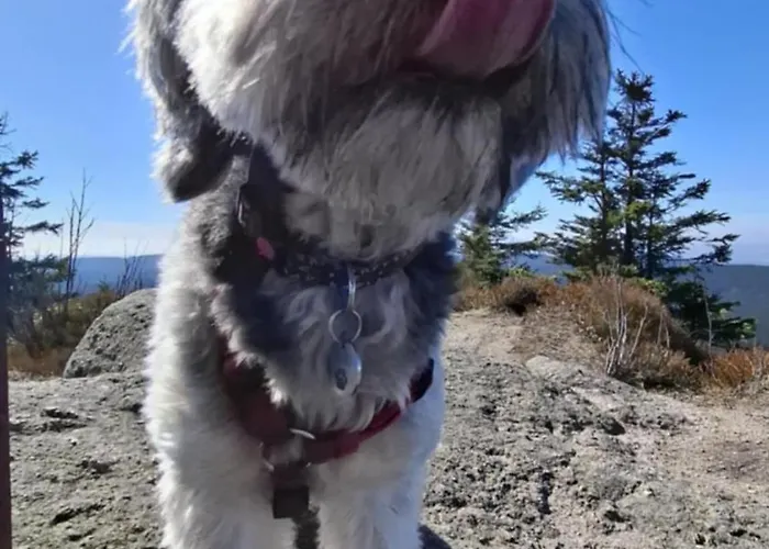 Skaly Spaly 住宿加早餐酒店 普热谢卡